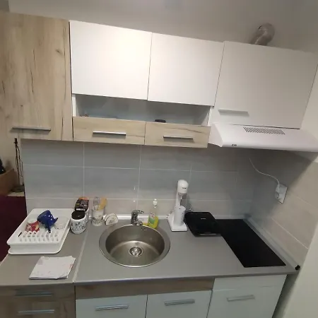 St.nedeljkovic Soko Banja