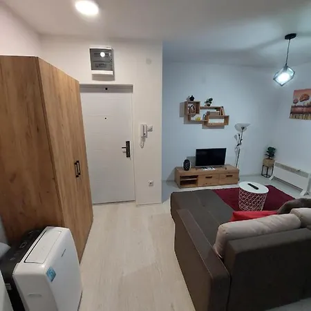 St.nedeljkovic Soko Banja