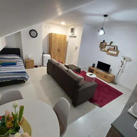 St.nedeljkovic Soko Banja