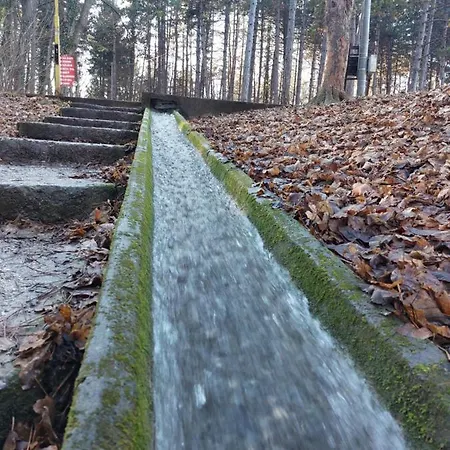 St.nedeljkovic Apartamento *