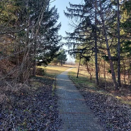 St.nedeljkovic Apartamento *