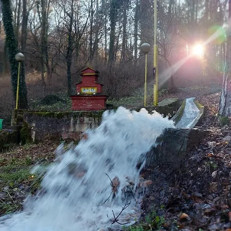 Apartamento St.nedeljkovic Soko Banja