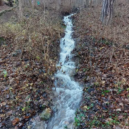 Apartamento St.nedeljkovic