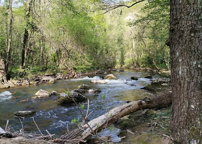 Daire St.nedeljkovic