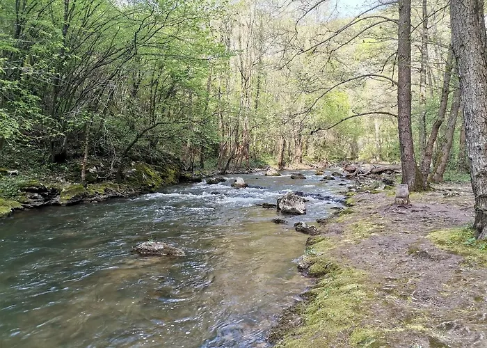 Daire St.nedeljkovic