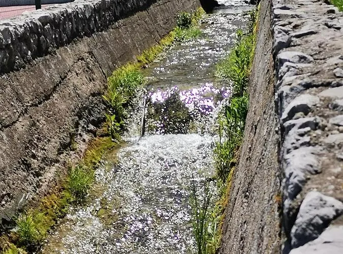 Daire St.nedeljkovic