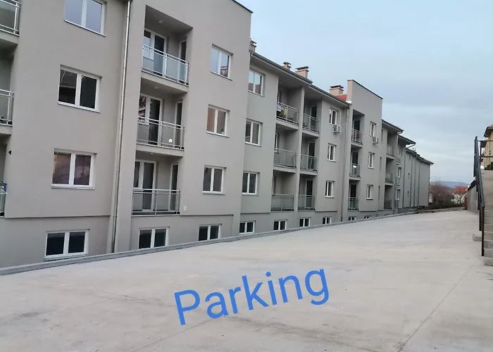 St.nedeljkovic * Soko Banja