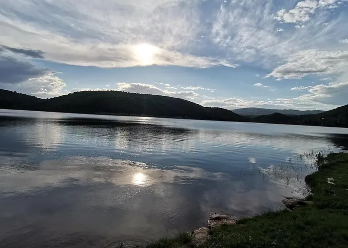 Daire St.nedeljkovic *