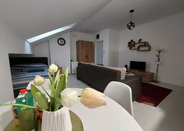 St.nedeljkovic Soko Banja