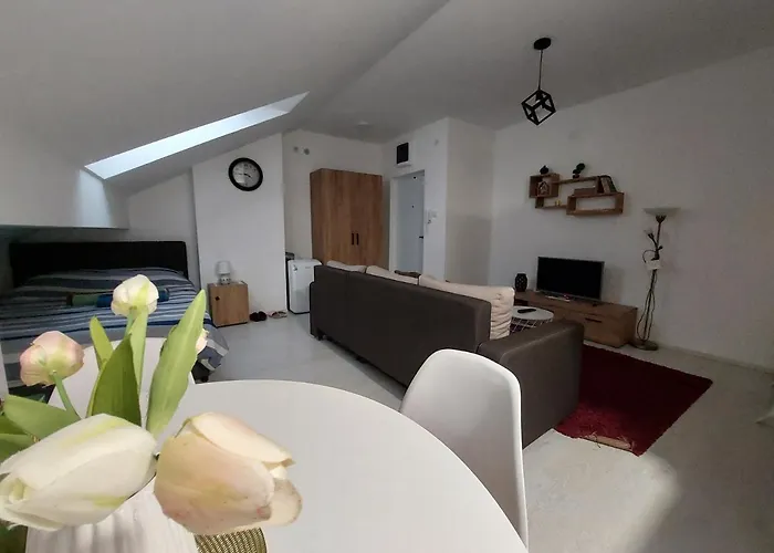 Daire St.nedeljkovic *