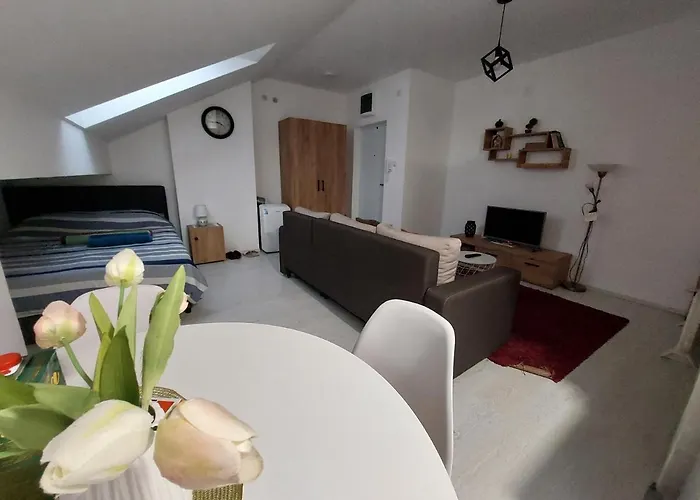 Daire St.nedeljkovic