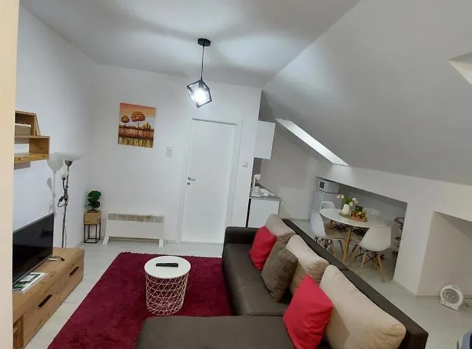 St.nedeljkovic Daire Soko Banja