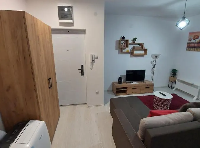 St.nedeljkovic Soko Banja