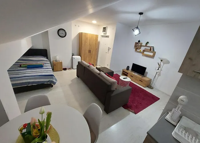 St.nedeljkovic Soko Banja