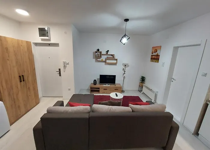 St.nedeljkovic Soko Banja