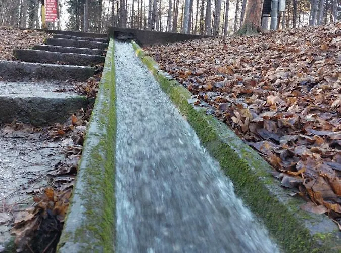 St.nedeljkovic Daire *