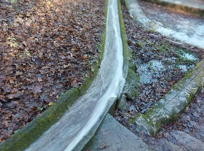 Daire St.nedeljkovic