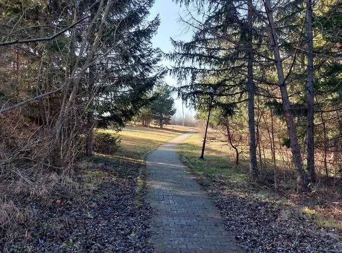 St.nedeljkovic Daire *