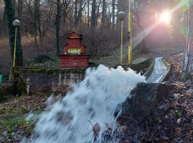 Daire St.nedeljkovic Soko Banja