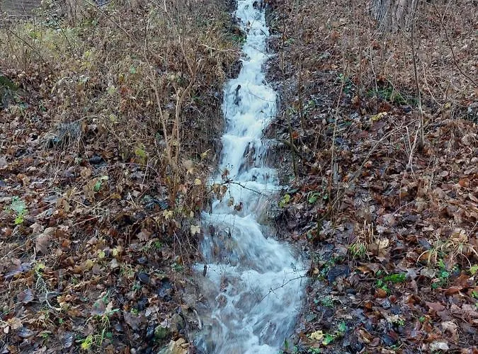 Daire St.nedeljkovic