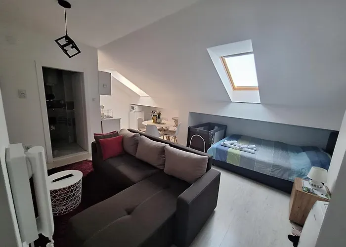 Daire St.nedeljkovic Soko Banja